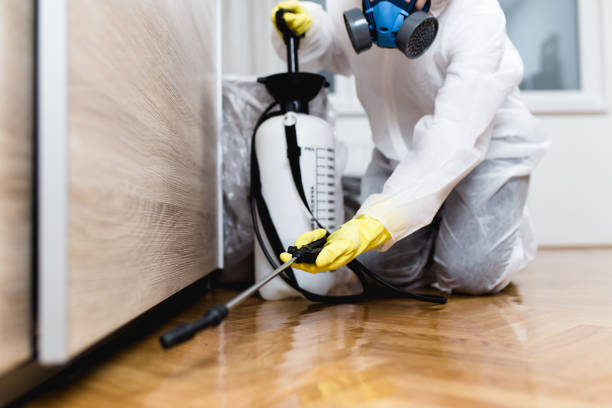 Best Flea Control Services  in Milwaukie, OR