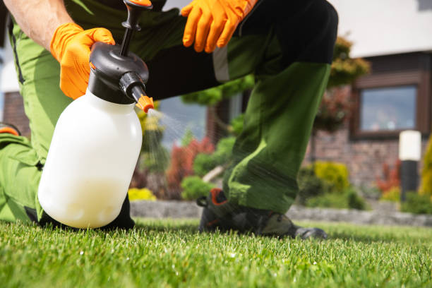 Flea Control Services in Milwaukie, OR