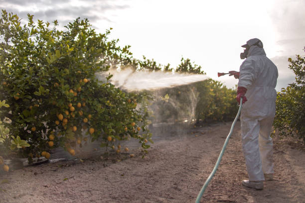 Best Pest Prevention Services  in Milwaukie, OR