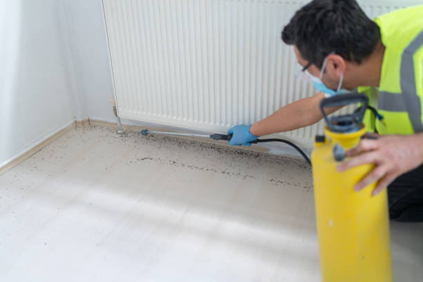 Best Pest Prevention Services  in Milwaukie, OR