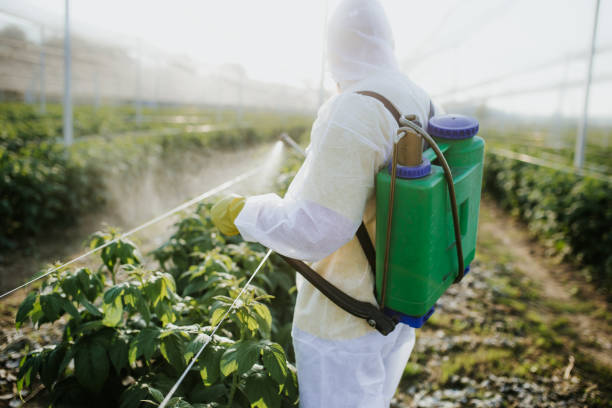 Best Local Pest Control Services  in Milwaukie, OR